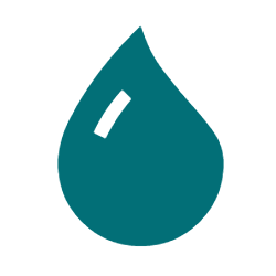 Boosts white blood cell counts